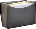 Smart Home Basics Expanding Accordion File Organizer, Letter Size, 13 Compartments, Kit