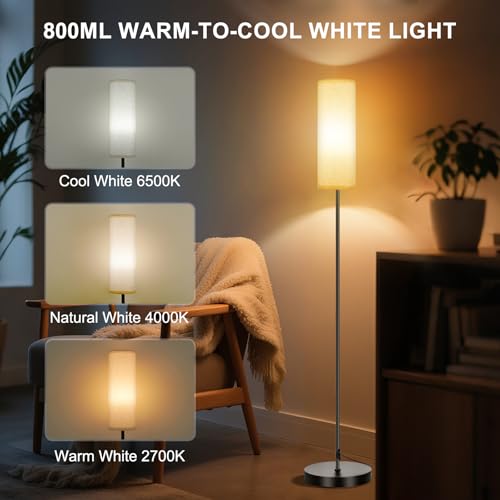 Eco-Friendly FRIDEKO HOME Floor Lamp, 9W 800LM Color Changing Smart Lamp for Daily Use